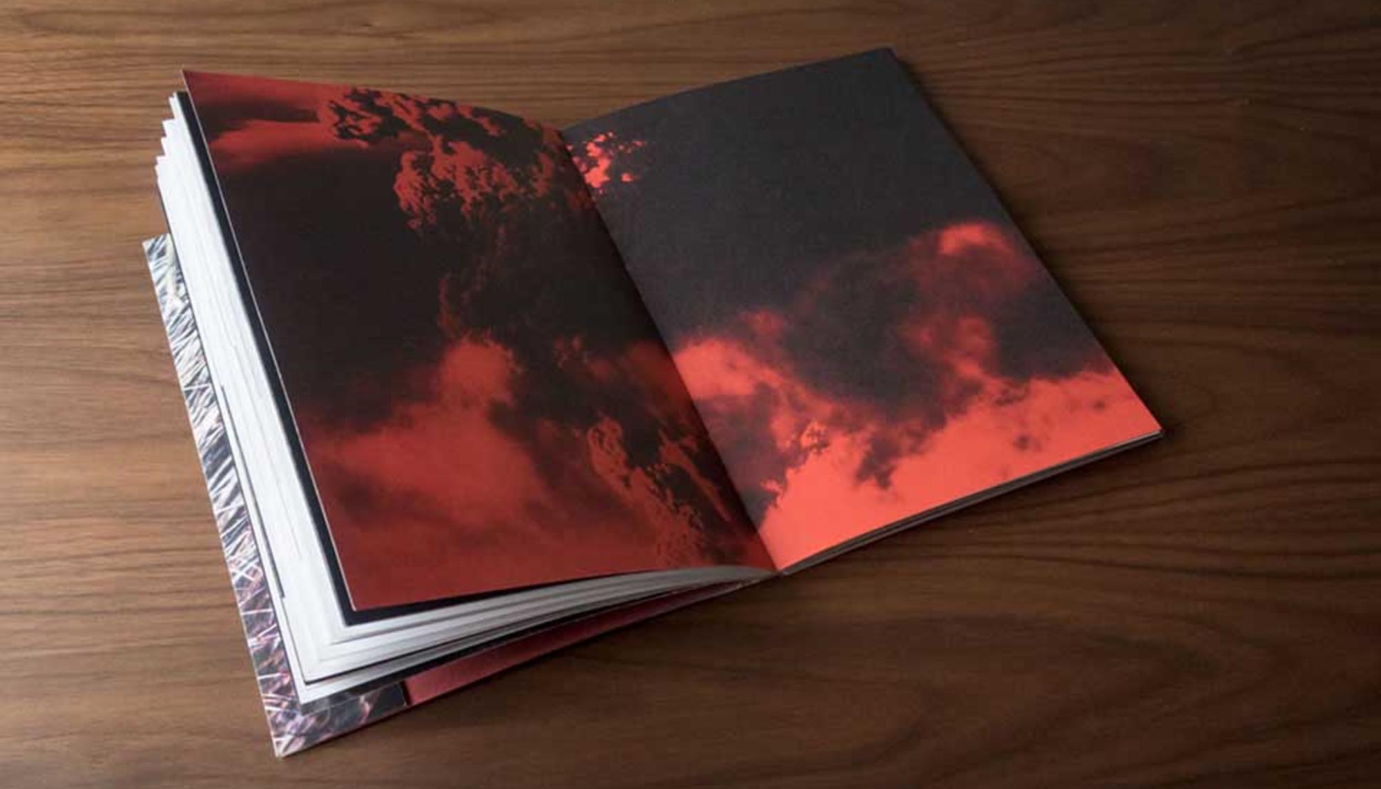 Bestiae, proyecto artístico sobre la dominación animal en la caza